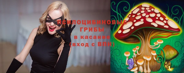 мяу мяу мука Медвежьегорск