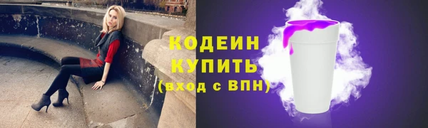 герыч Мегион