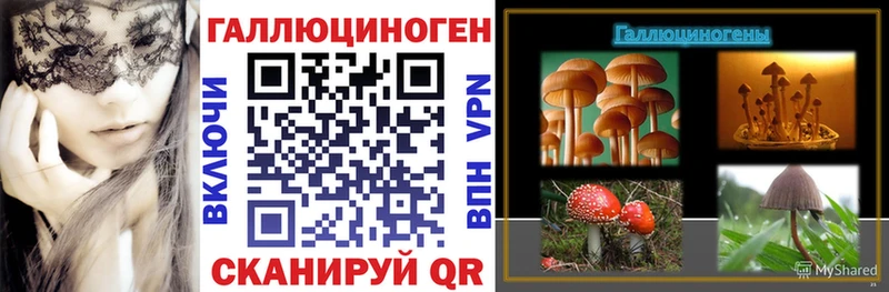Галлюциногенные грибы Psilocybe  купить наркоту  Голицыно 